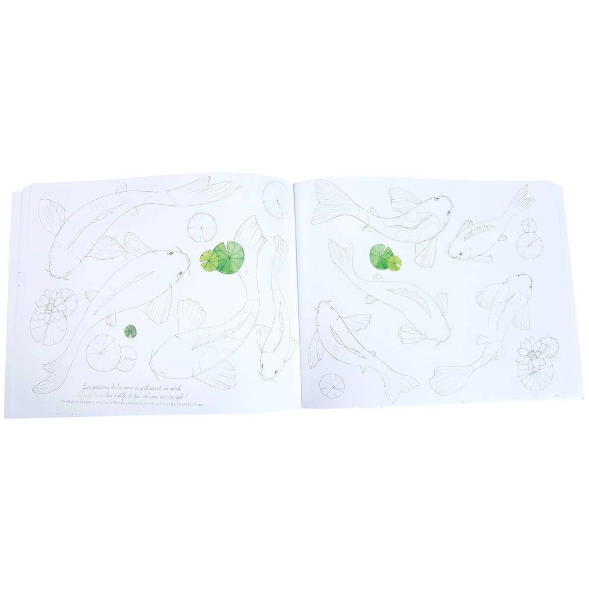 Moulin Roty The Garden Activity Book 6 Moulin Roty The Garden Activity Book