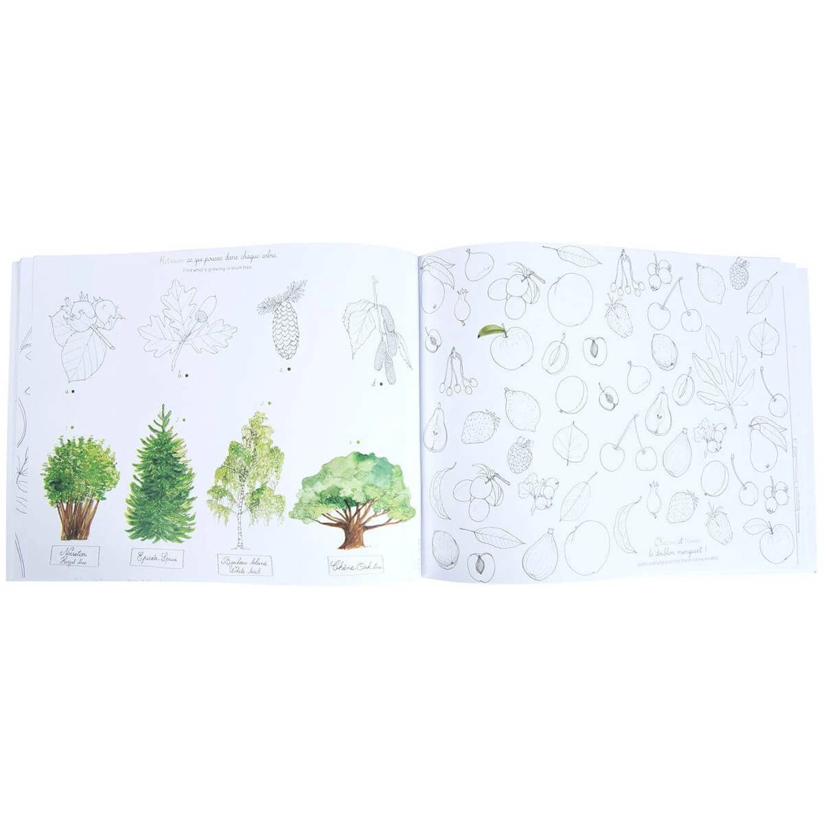 Moulin Roty The Garden Activity Book 5 Moulin Roty The Garden Activity Book