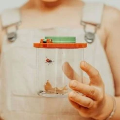 Moulin Roty Garden Insect Boat