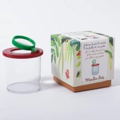 Moulin Roty Garden Insect Boat