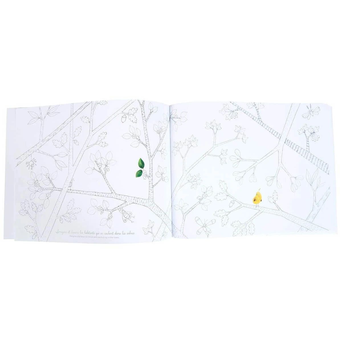 Moulin Roty The Garden Activity Book 7 Moulin Roty The Garden Activity Book