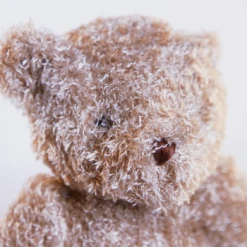 Moulin Roty Baby Bear in the Box