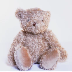 Moulin Roty Baby Bear in the Box